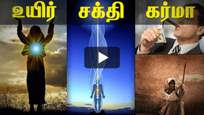 உயிர், சக்தி, கர்மா